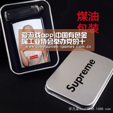 爱游戏app|中国有色金属工业协会举办党的十九届四中全会精神辅导讲座(图3) 爱游戏官网