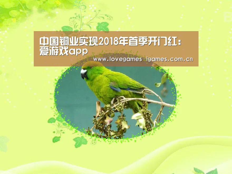 中国铜业实现2018年首季开门红:爱游戏app(图3) 爱游戏app