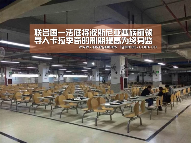 联合国一法庭将波斯尼亚塞族前领导人卡拉季奇的刑期提高为终身监禁_爱游戏官网(图3) 爱游戏官网