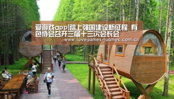 爱游戏app|踏上强国建设新征程 有色协会召开三届十三次会长会(图1) 爱游戏官网