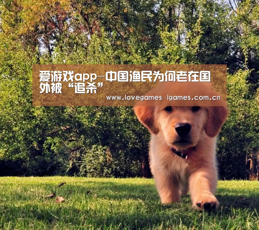 爱游戏官网