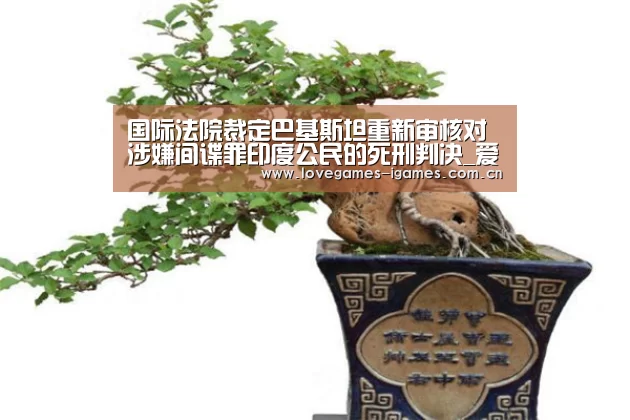 爱游戏app