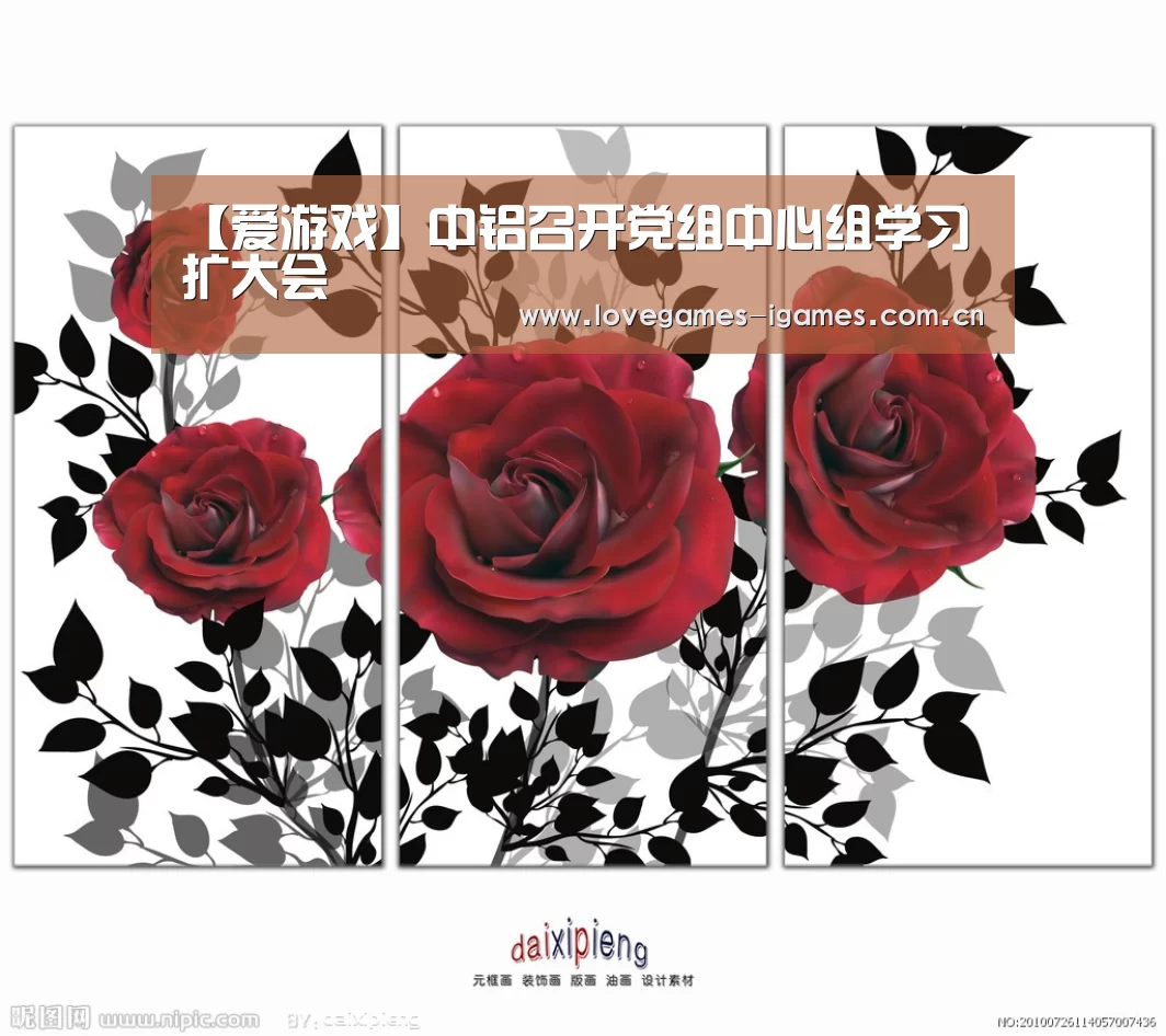 【爱游戏】中铝召开党组中心组学习扩大会(图4) 爱游戏