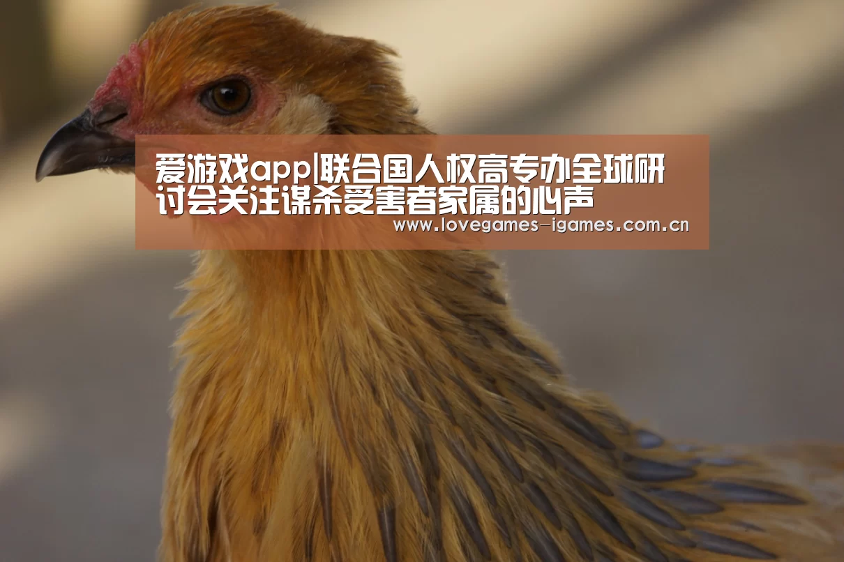 爱游戏app