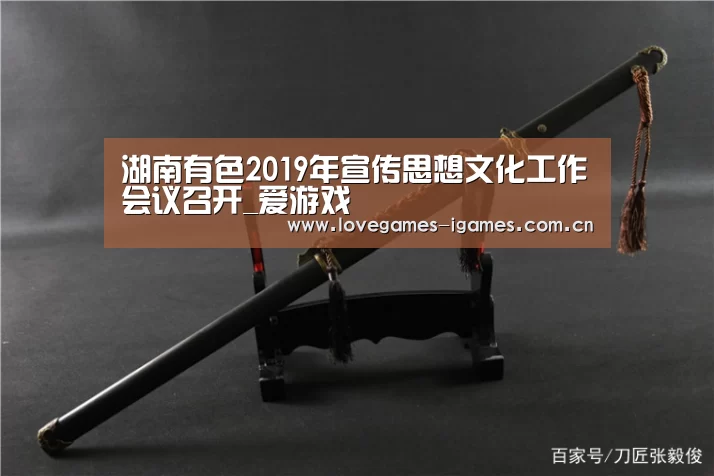 湖南有色2019年宣传思想文化工作会议召开_爱游戏(图1) 爱游戏