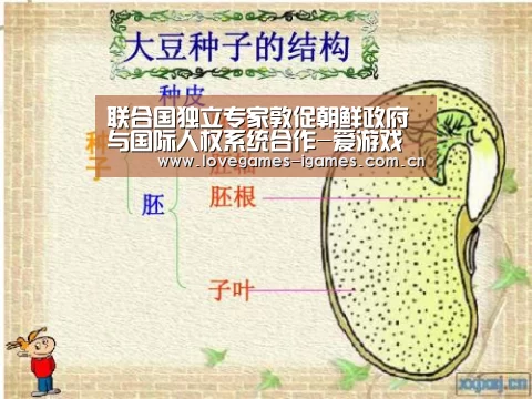 爱游戏官网