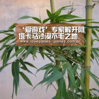 ‘爱游戏’专家解开阿塔卡马沙漠不毛之地成矿之谜(图1) 爱游戏官网